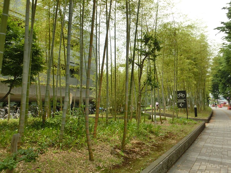 ��̕���