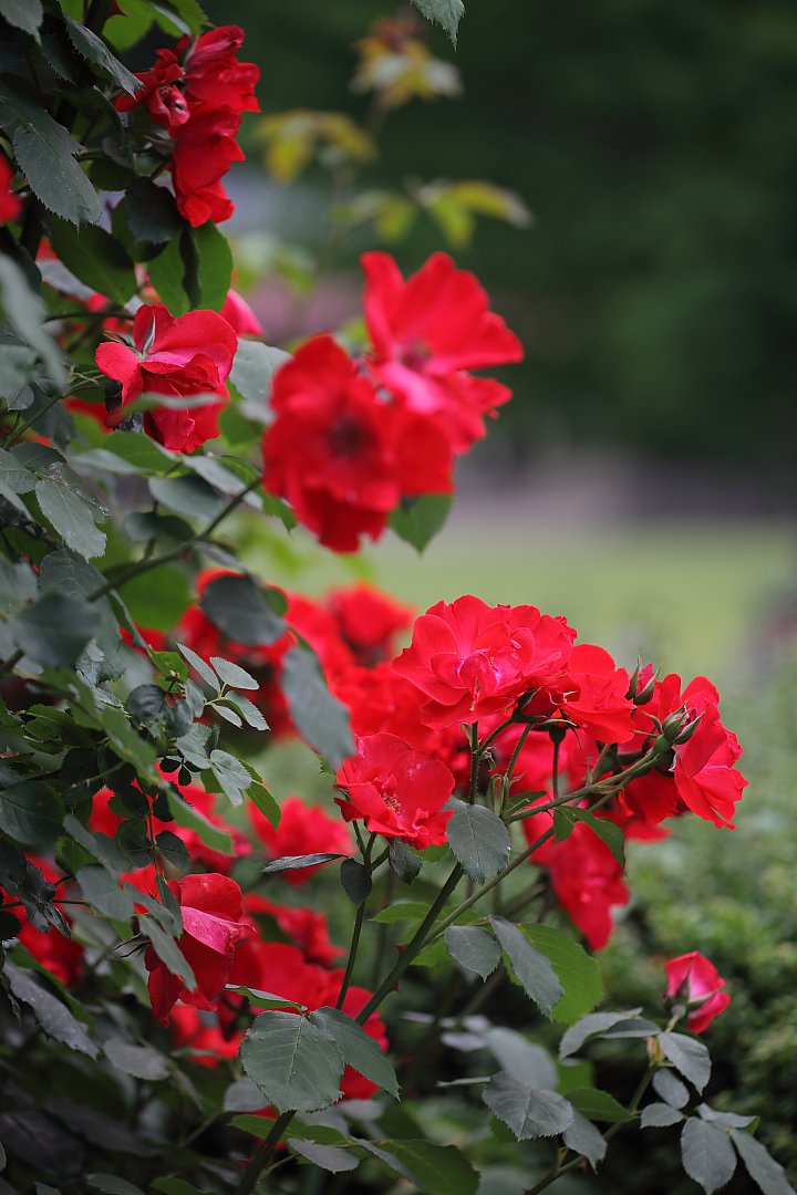 ��̕���