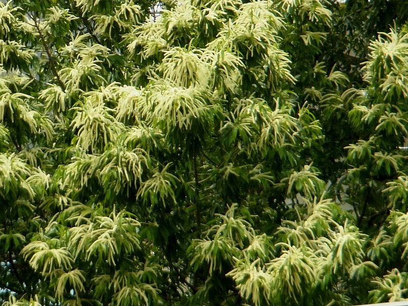 ��̕���