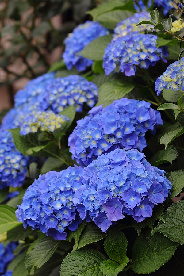 ��̕���