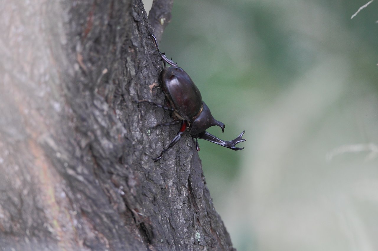 ��̕���