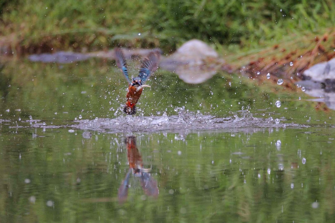 ��̕���