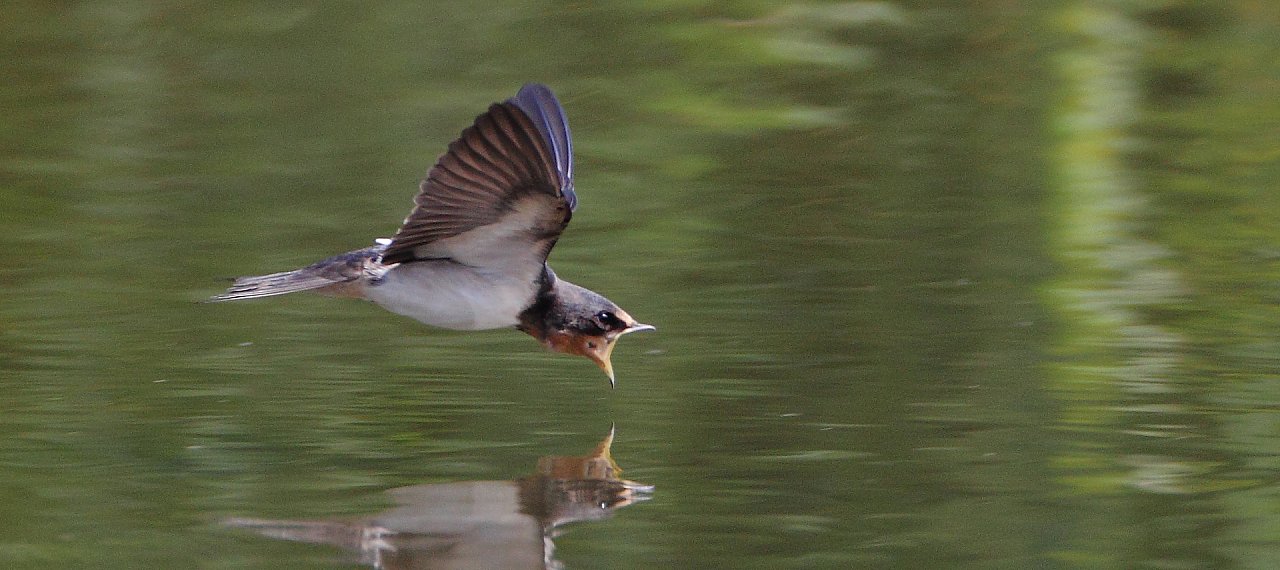 ��̕���