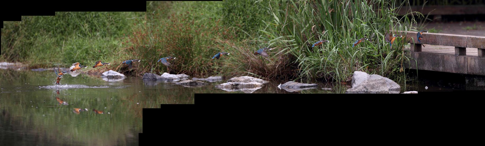 ��̕���