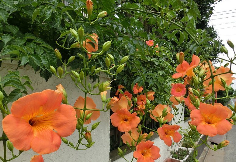 ��̕���