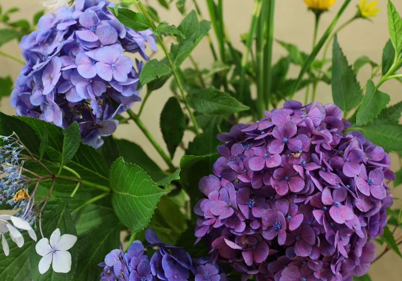 ��̕���