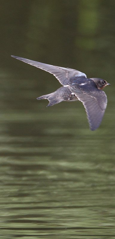 ��̕���