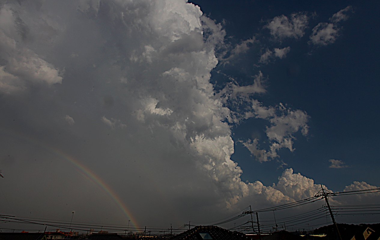 ��̕���