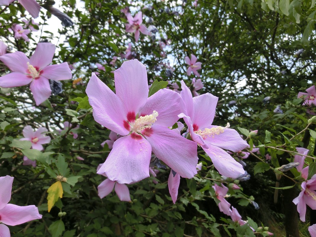 ��̕���