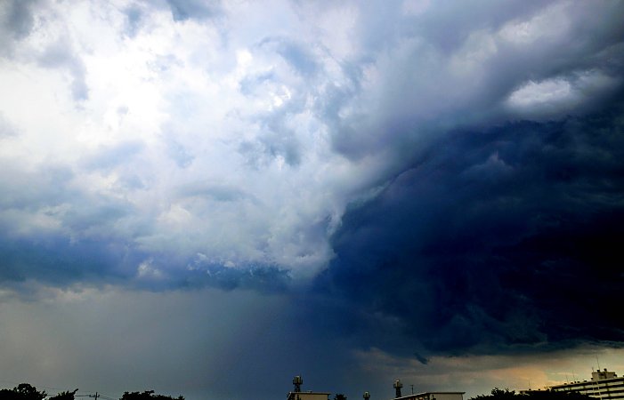 ��̕���