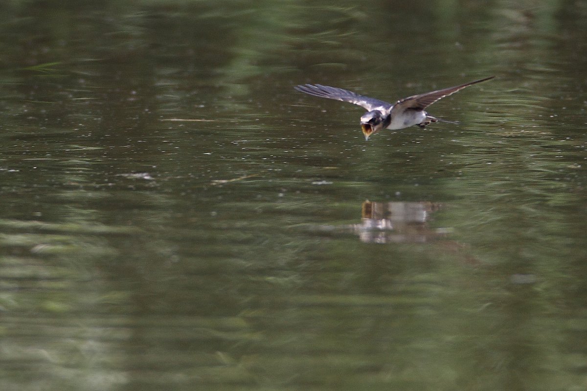 ��̕���