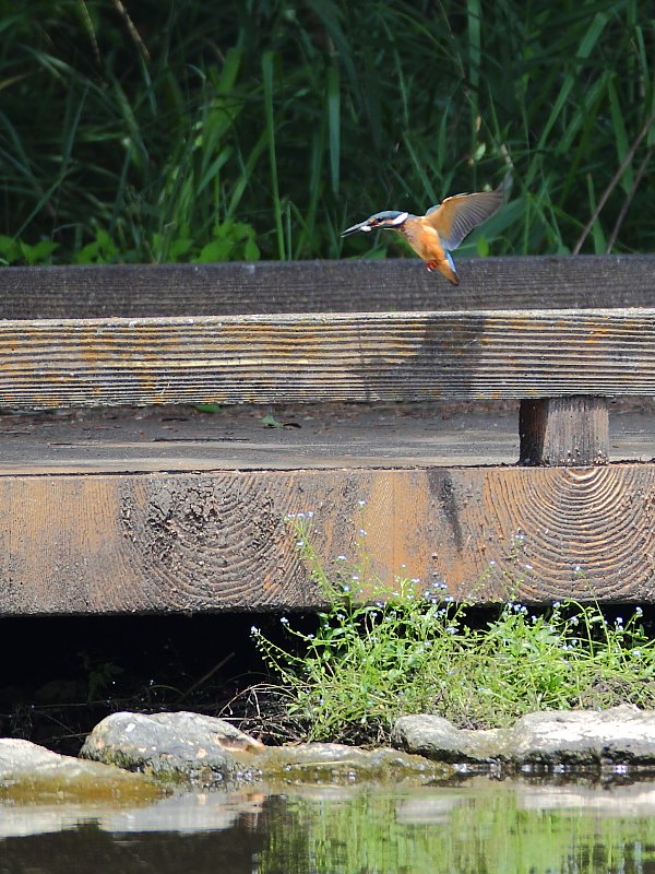 ��̕���