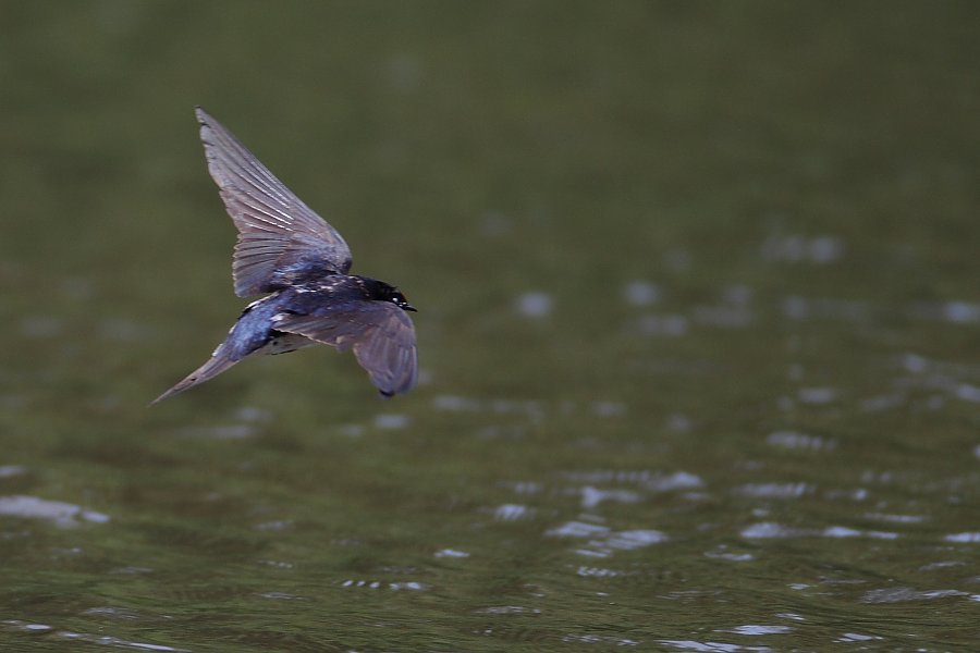 ��̕���