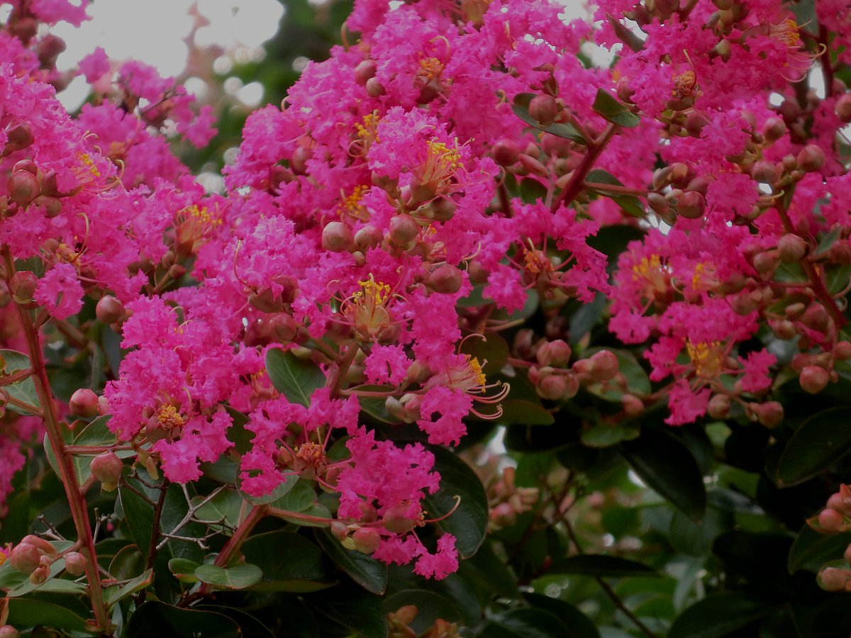 ��̕���