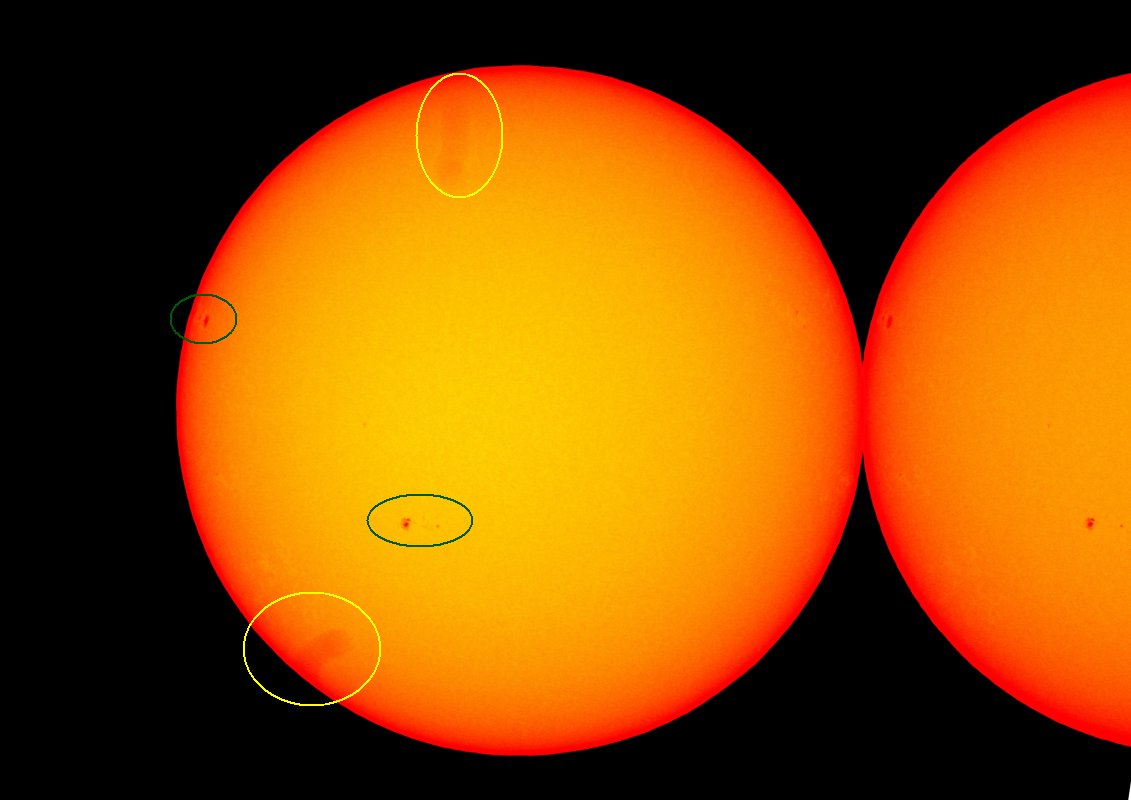 ��̕���