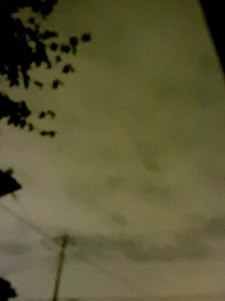 ��̕���