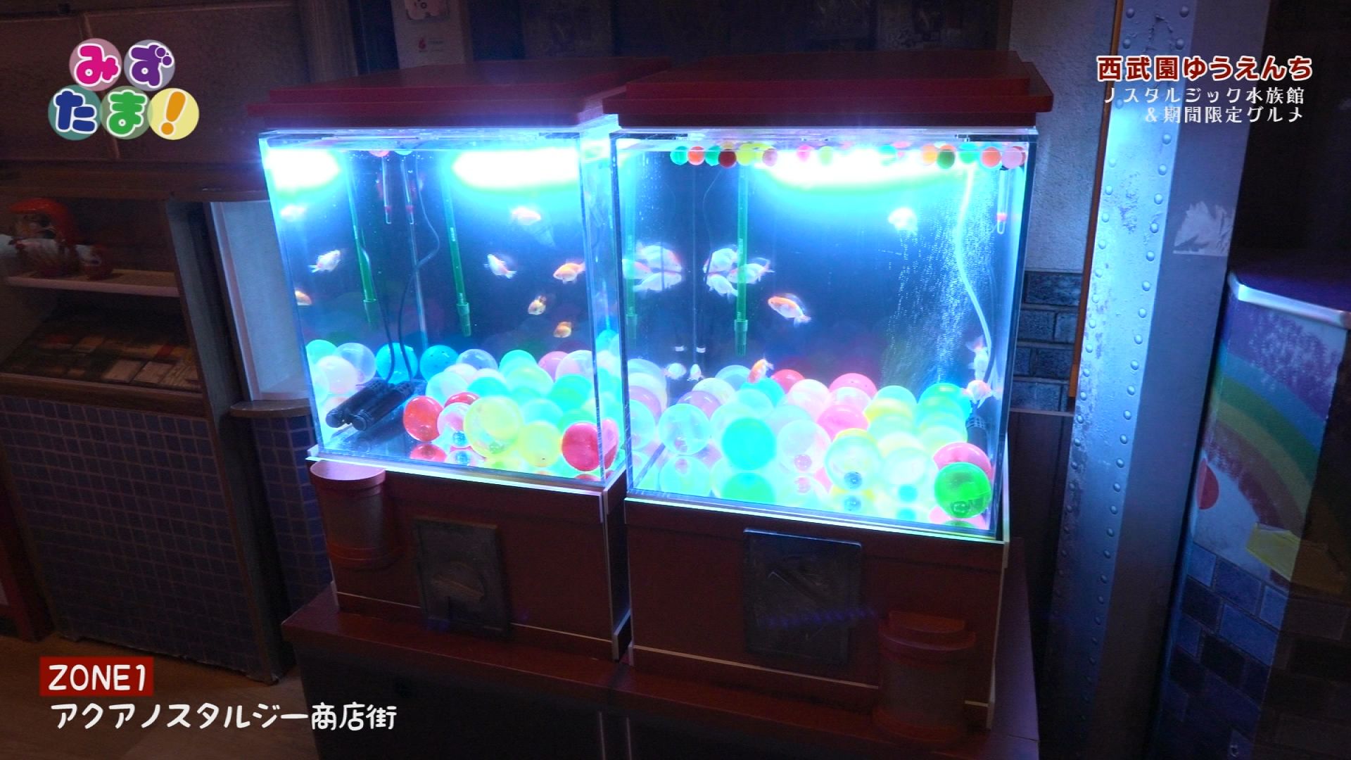 �P���P�W���i���j�`�P���Q�S���i�y�j�̕������e�i�݂��ق����Q�j