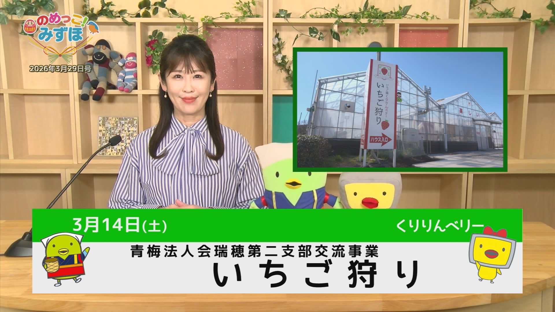 �݂��ق����Q