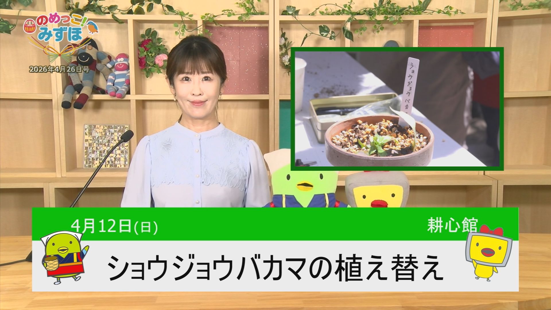 �݂��ق����Q