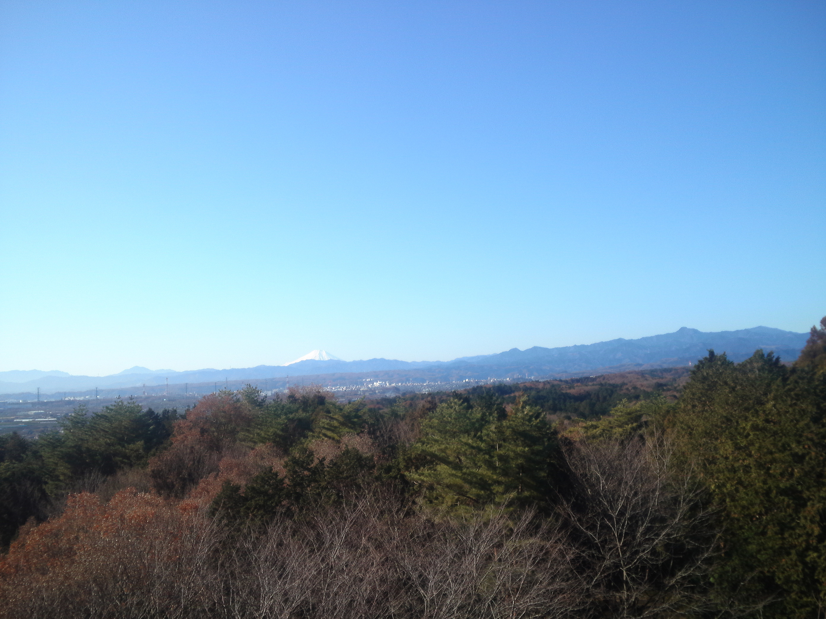 �C���������̂�