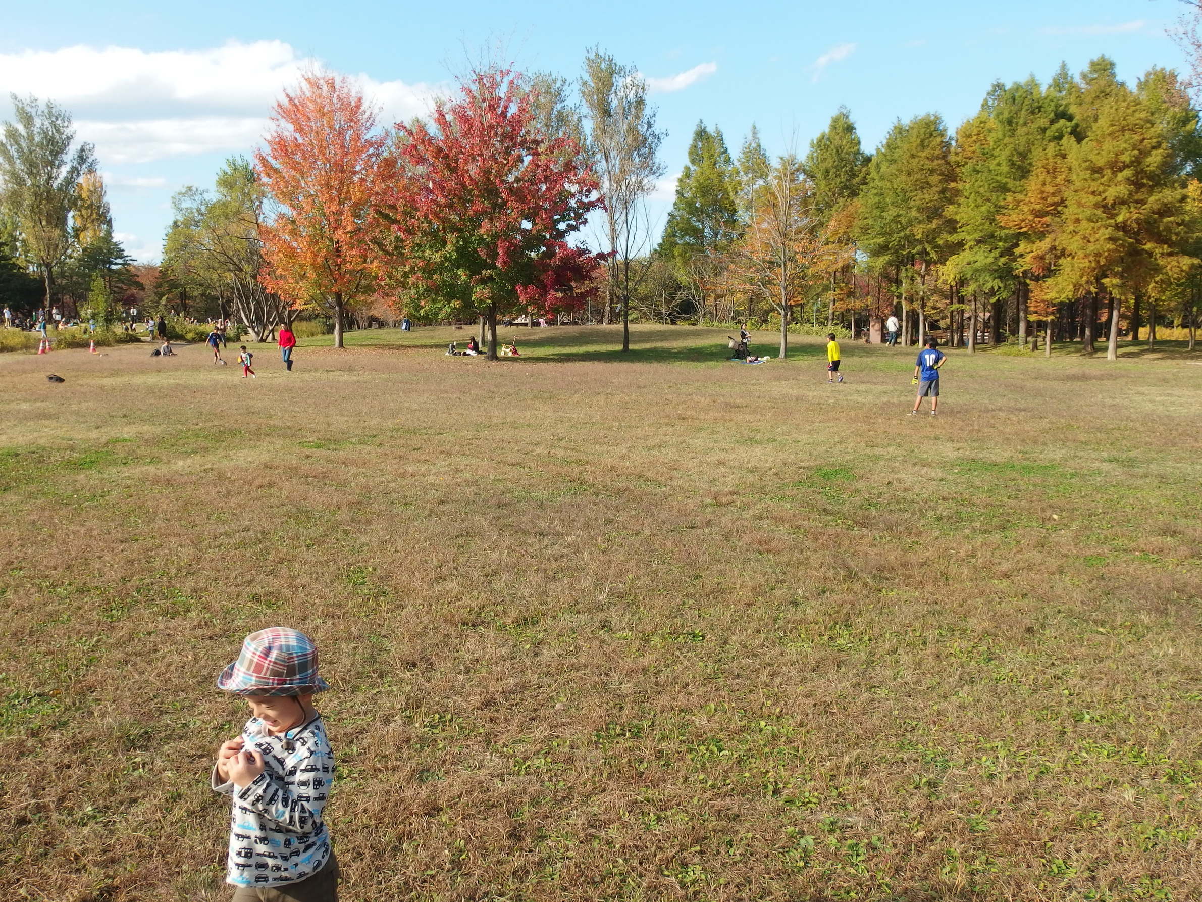 �A�h�R�o�����