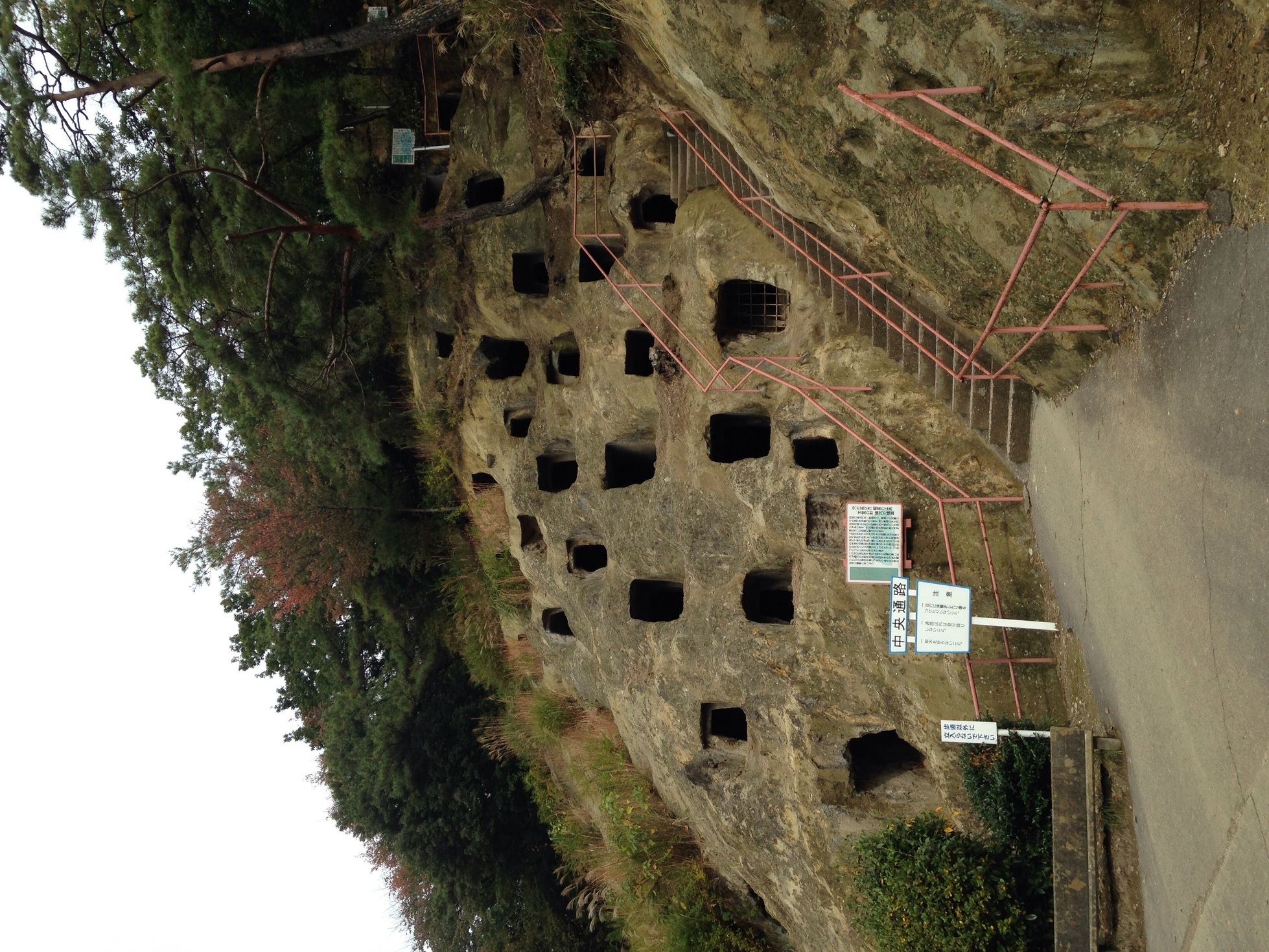 �Z�R���W�X�g�̂ЂƂ育��