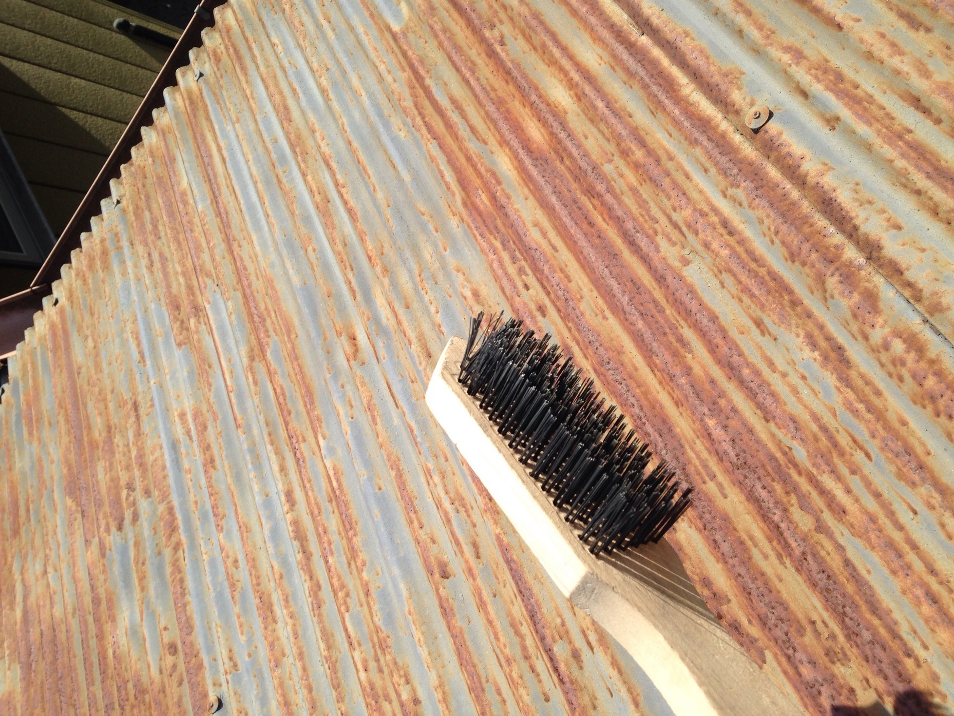 �Z�R���W�X�g�̂ЂƂ育��