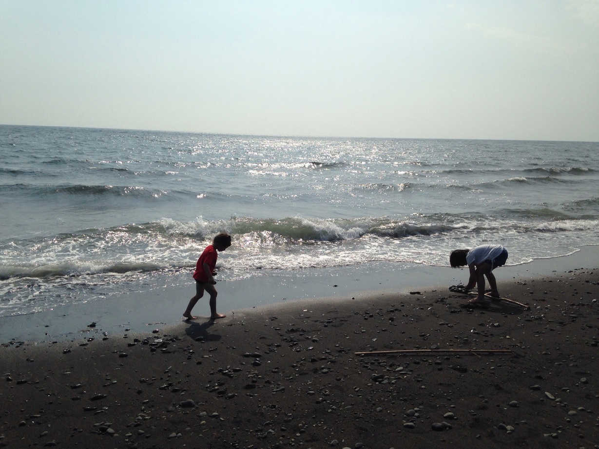 �Z�R���W�X�g�̂ЂƂ育��