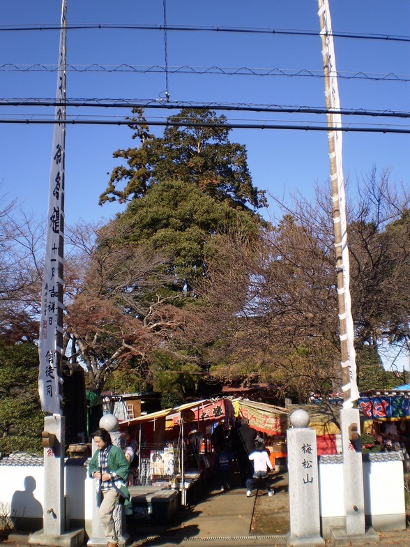 ��c�E�a��s���ԁt