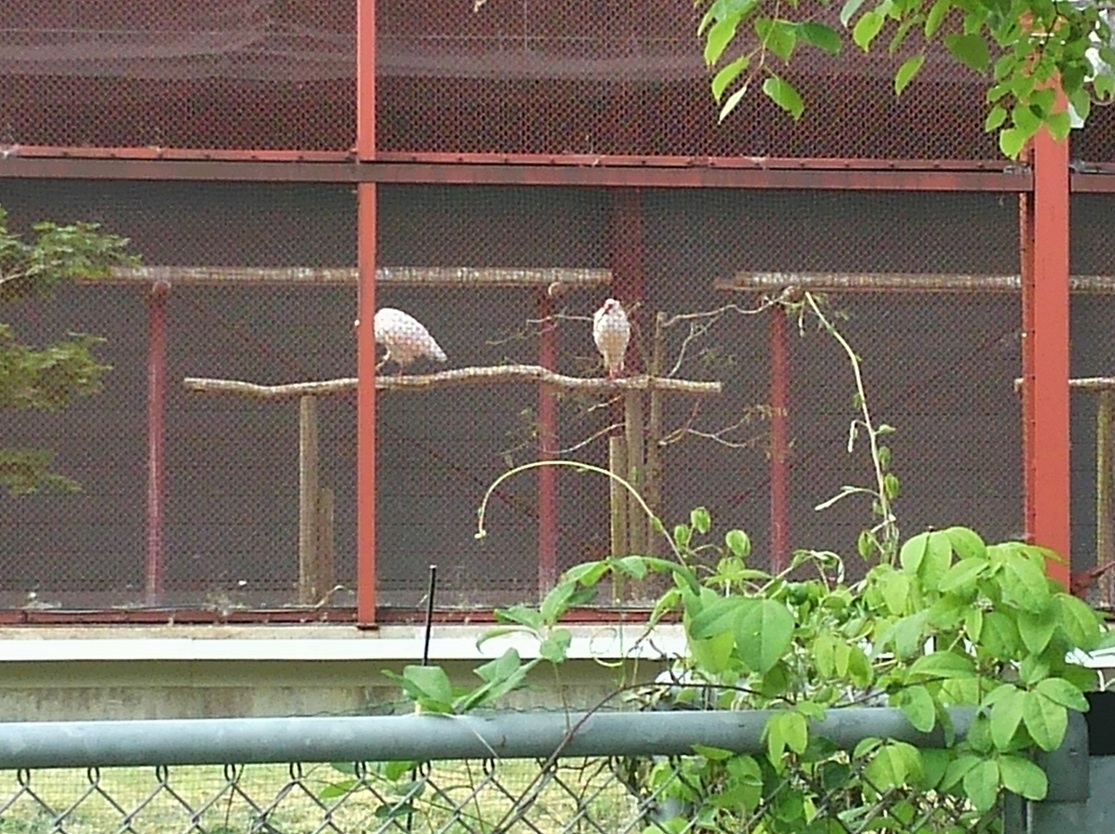 ��c�E�a��s���ԁt