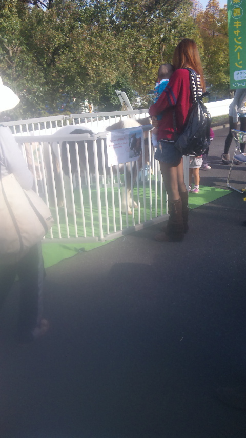 �ł��I�撣��I�Ж삭��_(^o^)�^