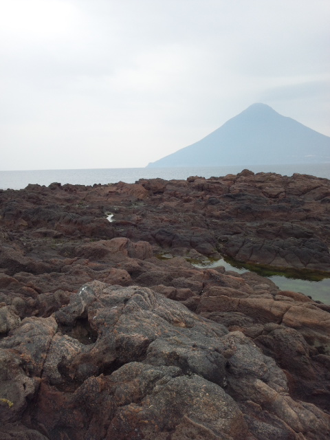 �ł��I�撣��I�Ж삭��_(^o^)�^