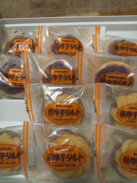 �ł��I�撣��I�Ж삭��_(^o^)�^