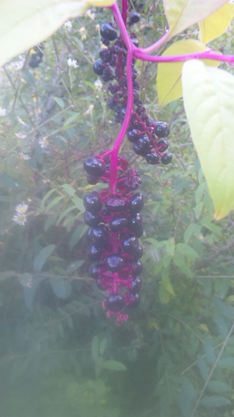 �ł��I�撣��I�Ж삭��_(^o^)�^