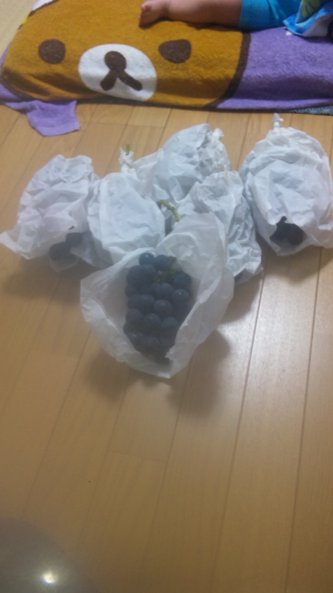 �ł��I�撣��I�Ж삭��_(^o^)�^