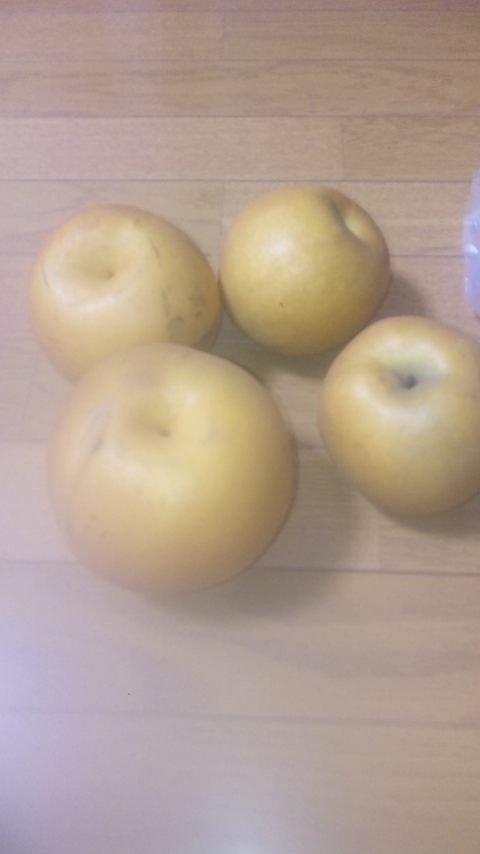 �ł��I�撣��I�Ж삭��_(^o^)�^