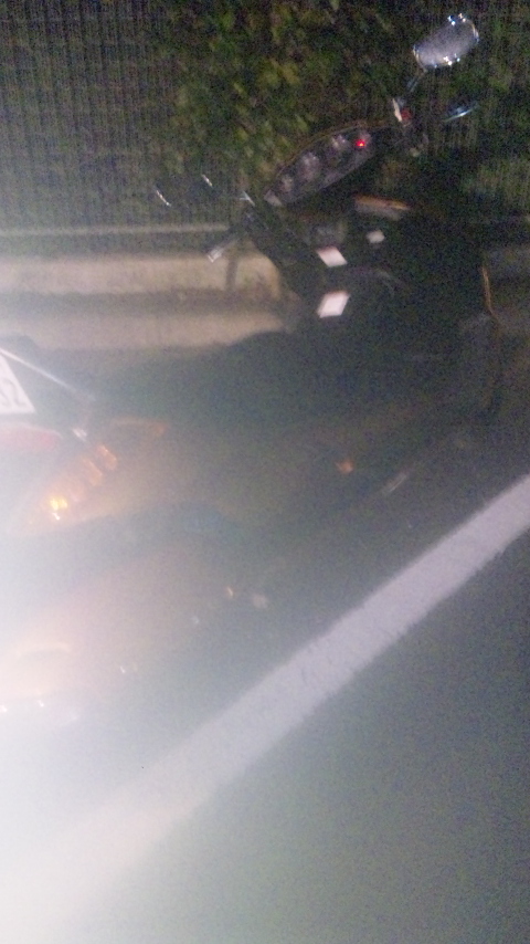 �ł��I�撣��I�Ж삭��_(^o^)�^