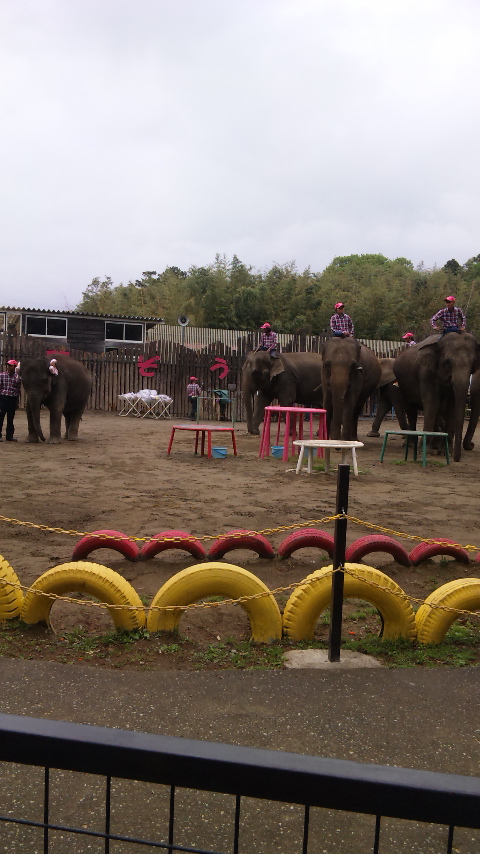 �ł��I�撣��I�Ж삭��_(^o^)�^