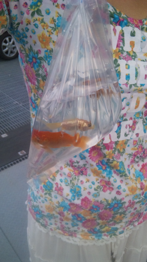 �ł��I�撣��I�Ж삭��_(^o^)�^