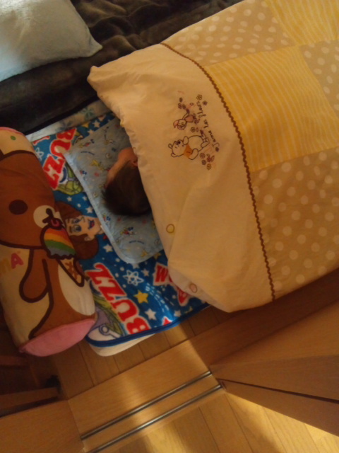 �ł��I�撣��I�Ж삭��_(^o^)�^