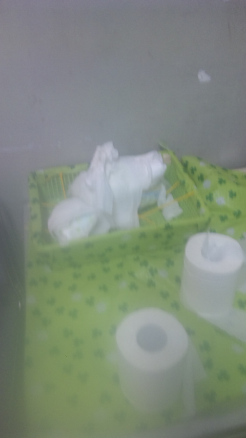 �ł��I�撣��I�Ж삭��_(^o^)�^