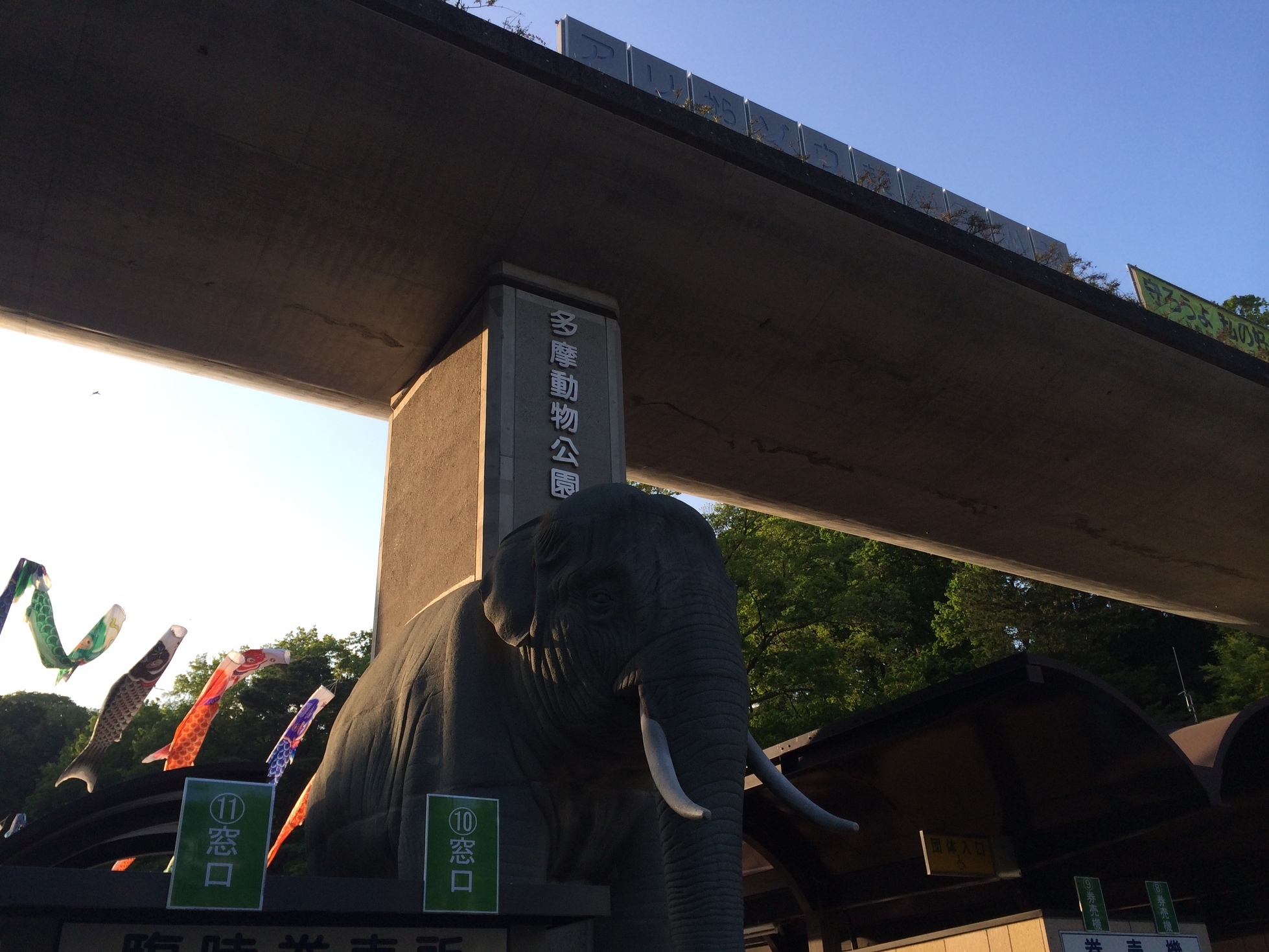 �ł��I�撣��I�Ж삭��_(^o^)�^