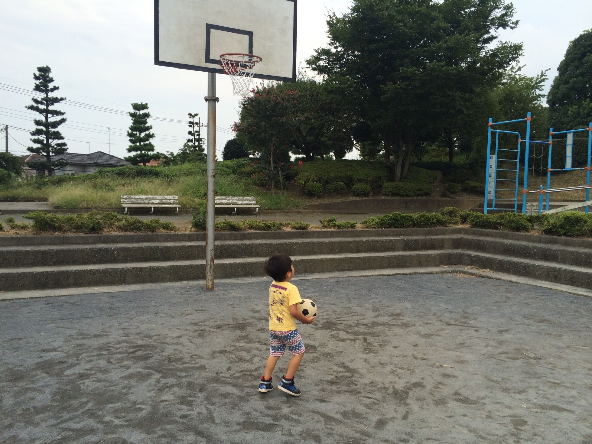 �ł��I�撣��I�Ж삭��_(^o^)�^