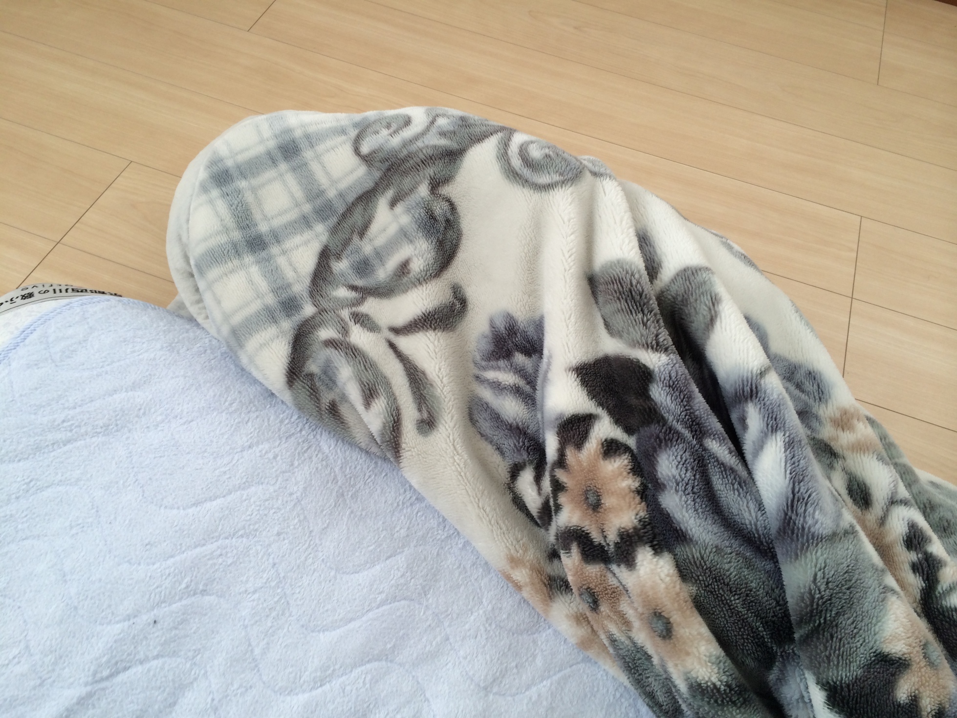 �ł��I�撣��I�Ж삭��_(^o^)�^