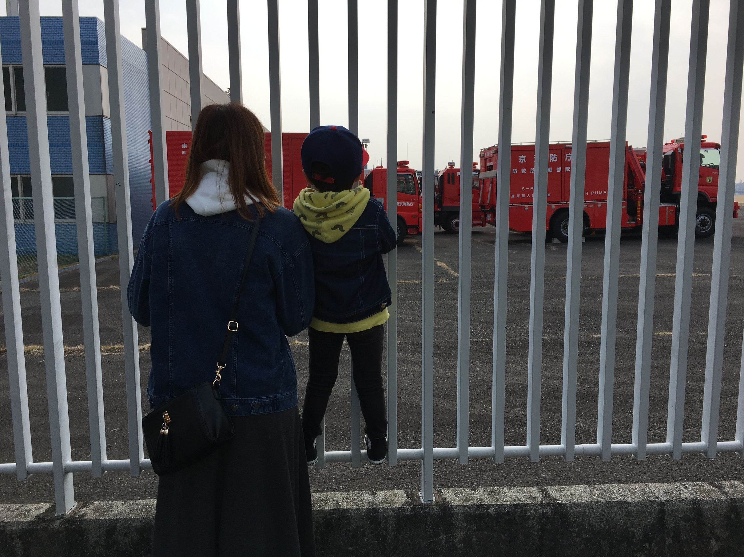 �ł��I�撣��I�Ж삭��_(^o^)�^