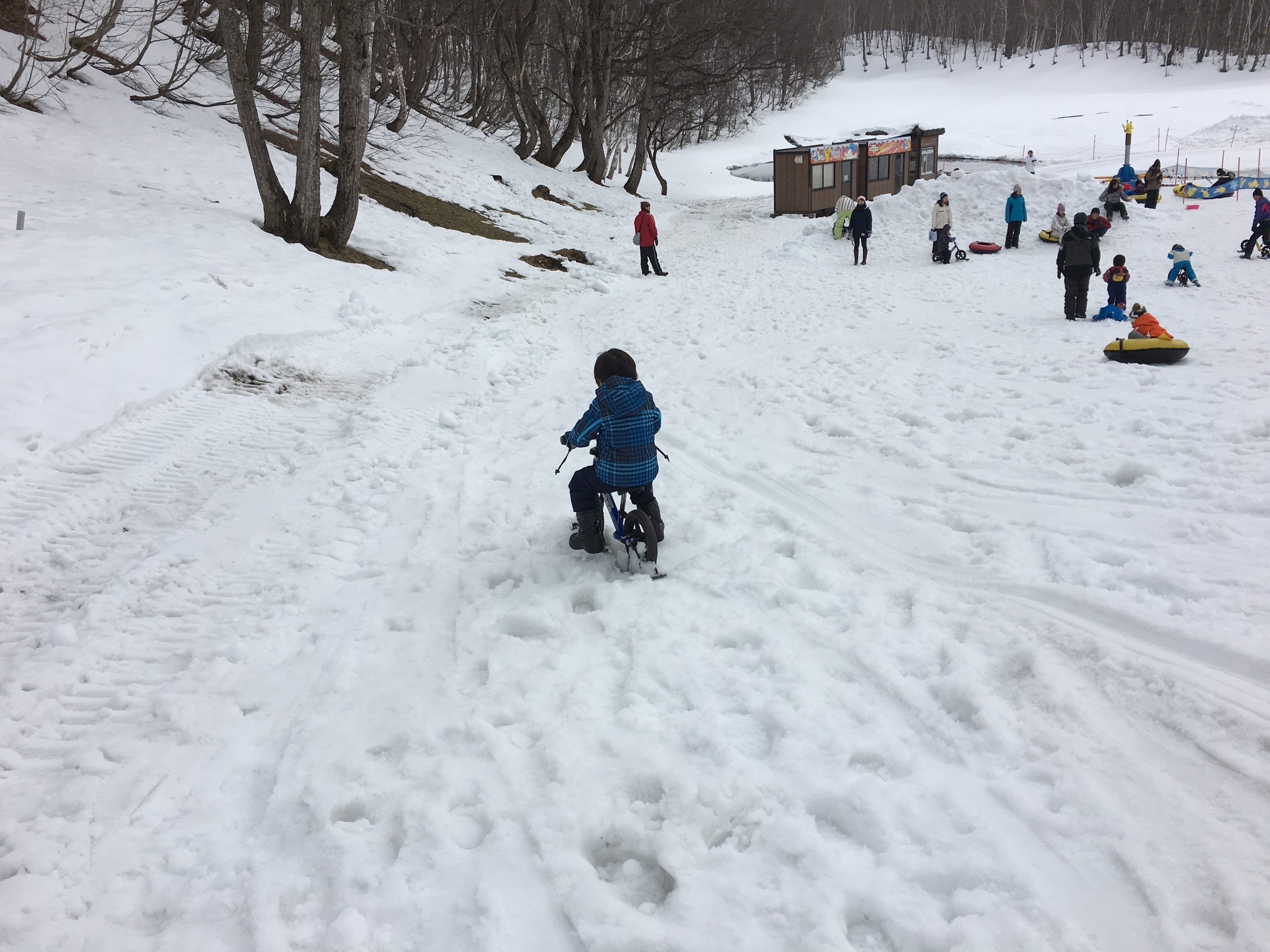 �ł��I�撣��I�Ж삭��_(^o^)�^