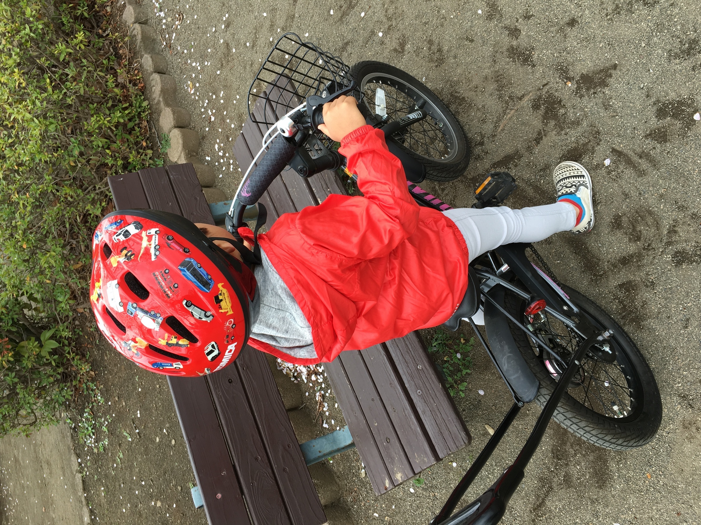 �ł��I�撣��I�Ж삭��_(^o^)�^