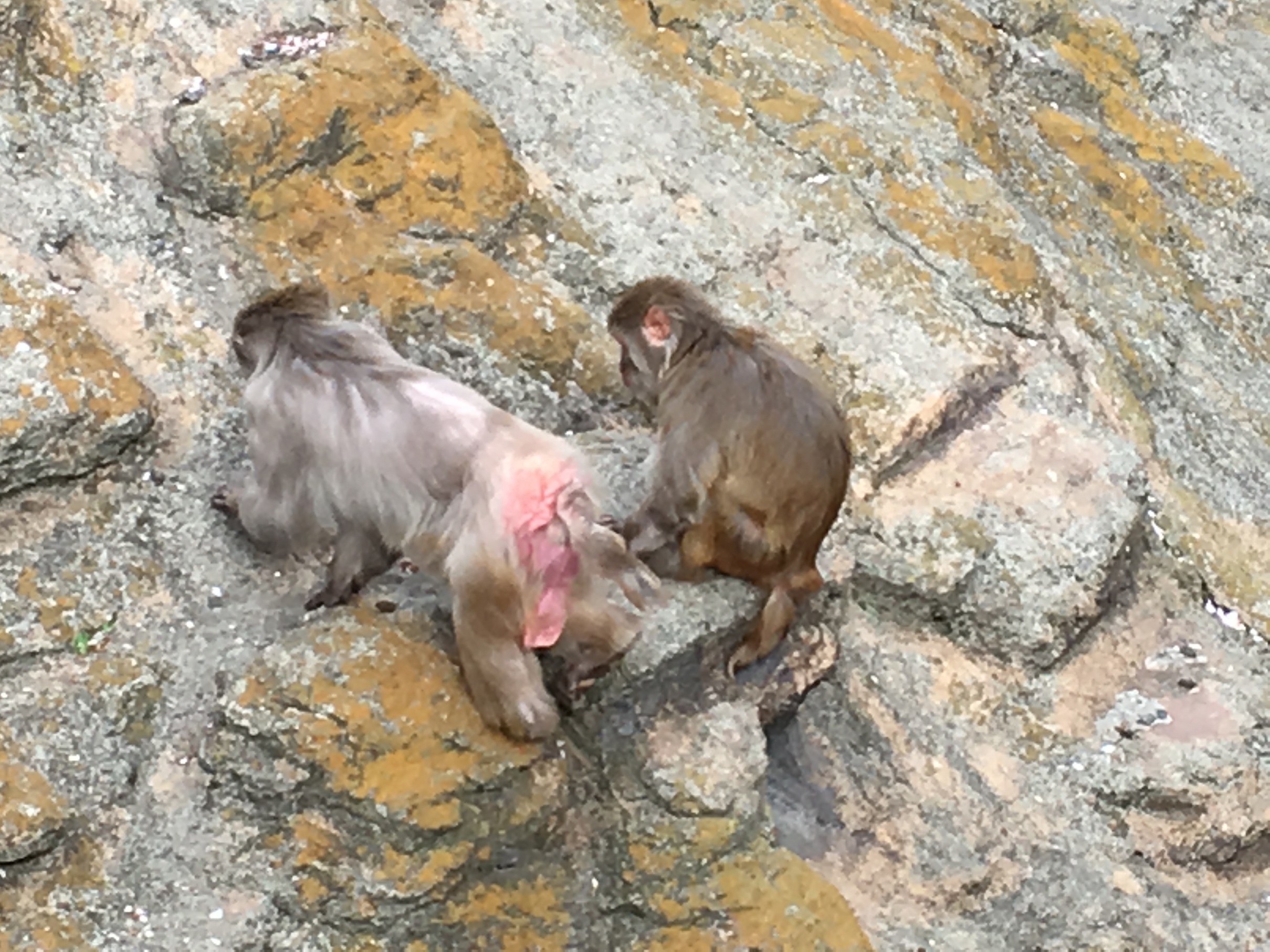 �ł��I�撣��I�Ж삭��_(^o^)�^