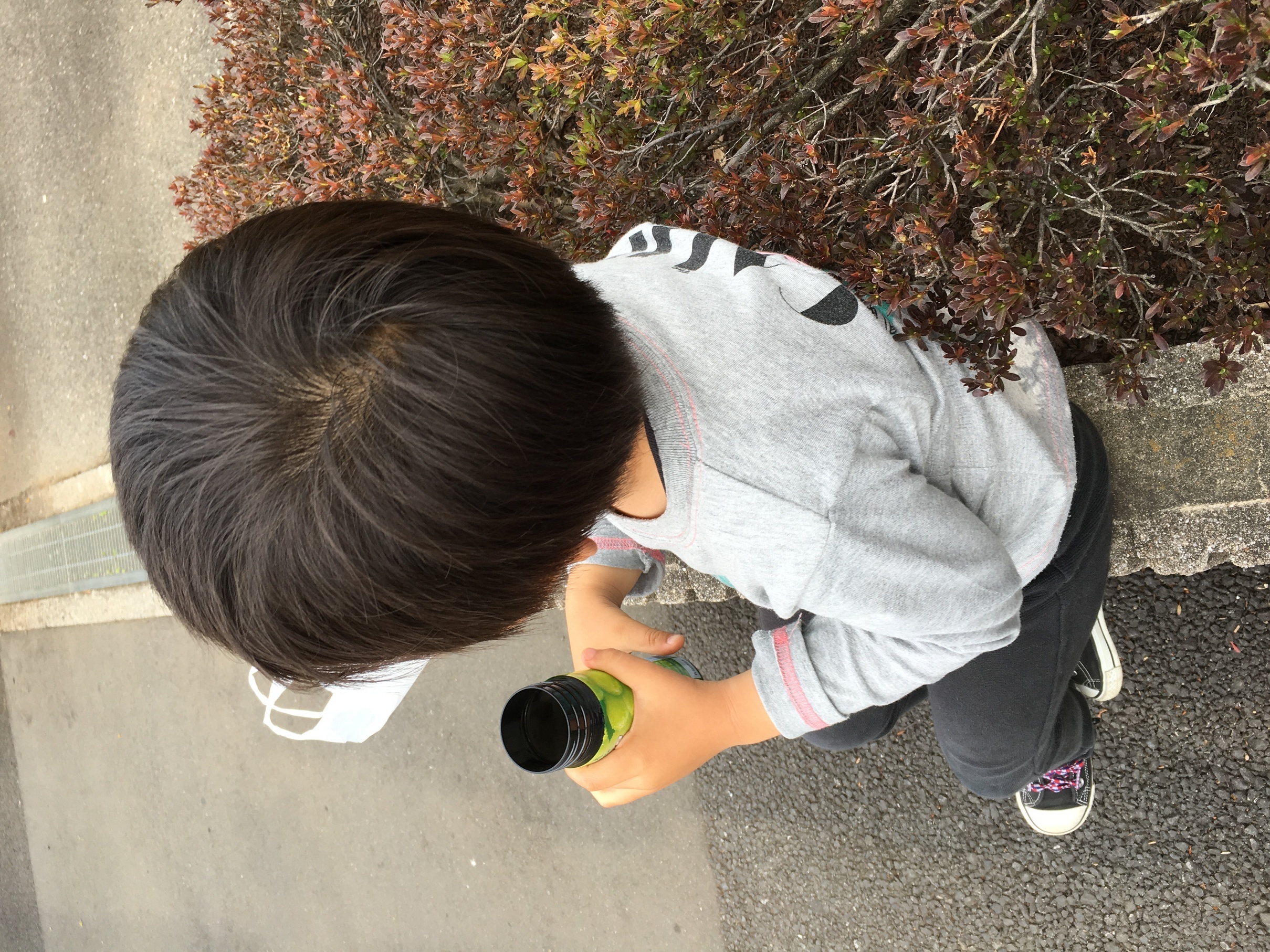 �ł��I�撣��I�Ж삭��_(^o^)�^