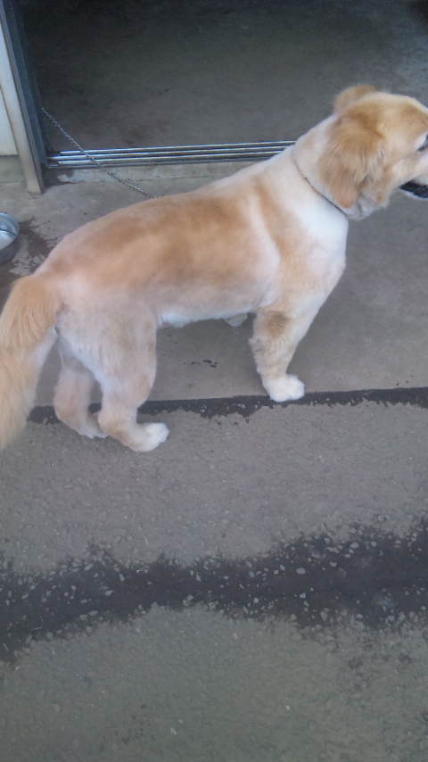 �ł��I�撣��I�Ж삭��_(^o^)�^